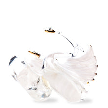 Online Commercial Product Bottom View