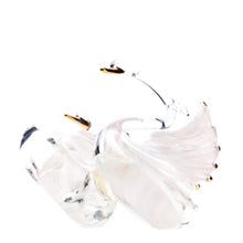 Online Commercial Product Bottom View