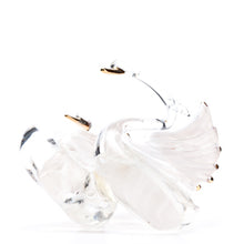 Online Commercial Product Bottom View